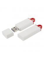 MENGÜCEKLİLER PLASTİK USB BELLEK (64 GB)