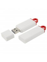 MENGÜCEKLİLER PLASTİK USB BELLEK (32 GB)